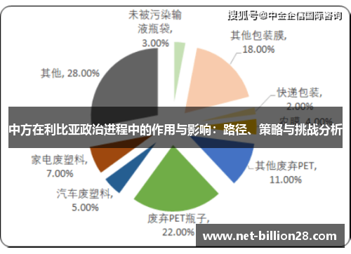 中方在利比亚政治进程中的作用与影响：路径、策略与挑战分析