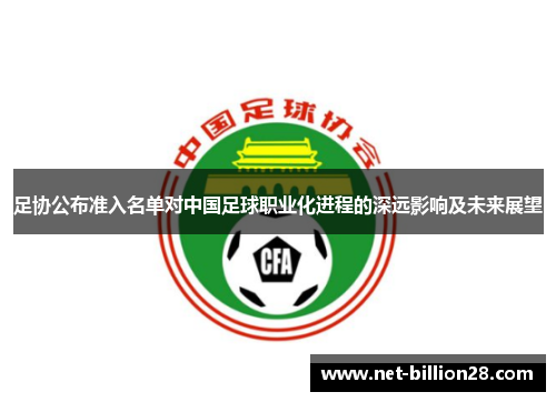 足协公布准入名单对中国足球职业化进程的深远影响及未来展望